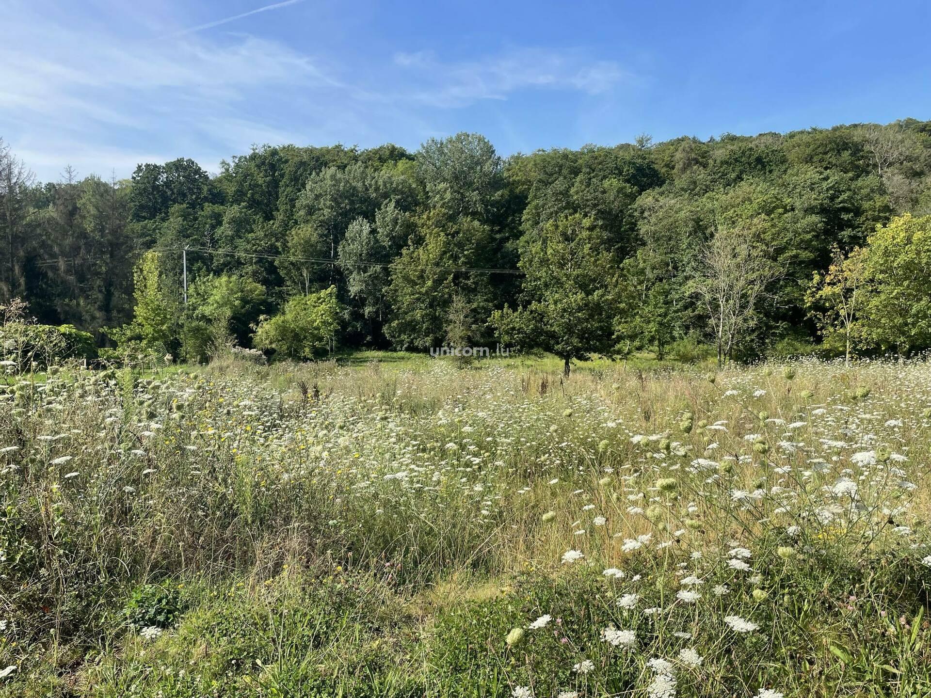 Grundstück zu verkaufen in Schrassig  - 878m²